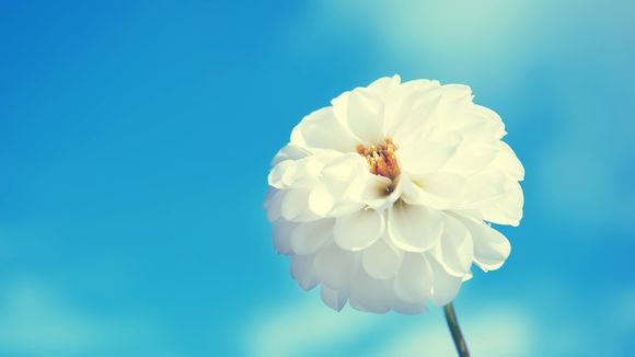 跑步画虎的文案句子集锦100句