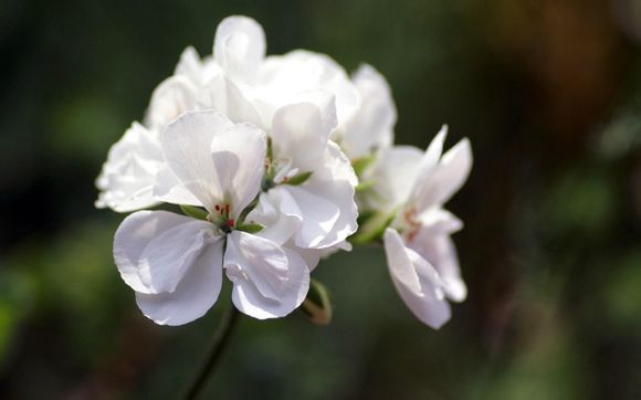 质量不变文案句子集合45句