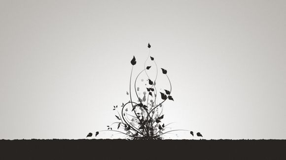 描述洛丽塔文案句子集合44句